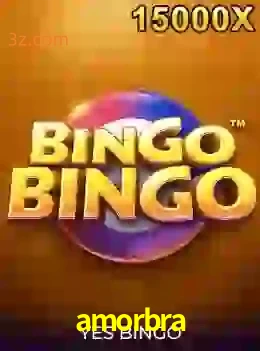bingobingo